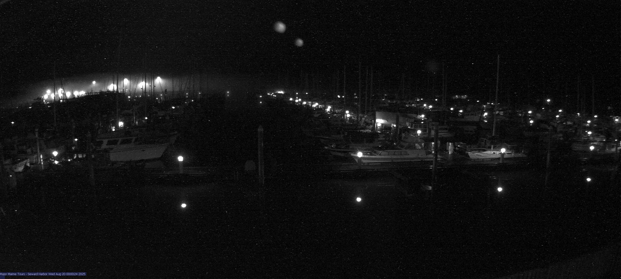 time-lapse frame, Seward Harbor webcam