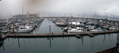 view from Seward Harbor on 2025-08-21