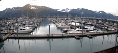 view from Seward Harbor on 2025-08-31