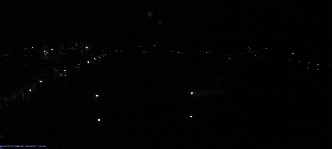 time-lapse frame, Seward Harbor webcam