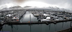 view from Seward Harbor on 2026-05-09