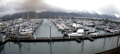 view from Seward Harbor on 2026-05-18