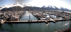 view from Seward Harbor on 2026-05-25