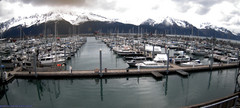 view from Seward Harbor on 2026-05-30