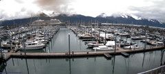 view from Seward Harbor on 2026-06-06