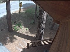 view from Tahoe Woods on 2025-06-01