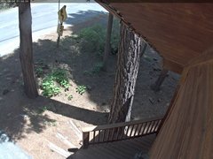 view from Tahoe Woods on 2025-06-08