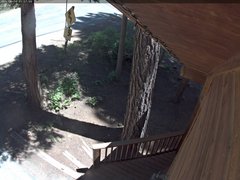 view from Tahoe Woods on 2025-06-19