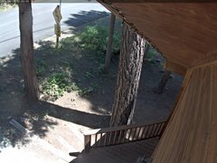 view from Tahoe Woods on 2026-06-19
