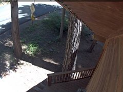 view from Tahoe Woods on 2026-08-01