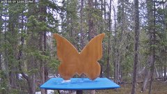 view from Storm Cam on 2026-05-19