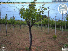 view from Bari Sardo - Fenologica on 2025-05-04