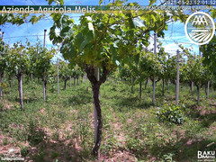 view from Bari Sardo - Fenologica on 2025-05-23