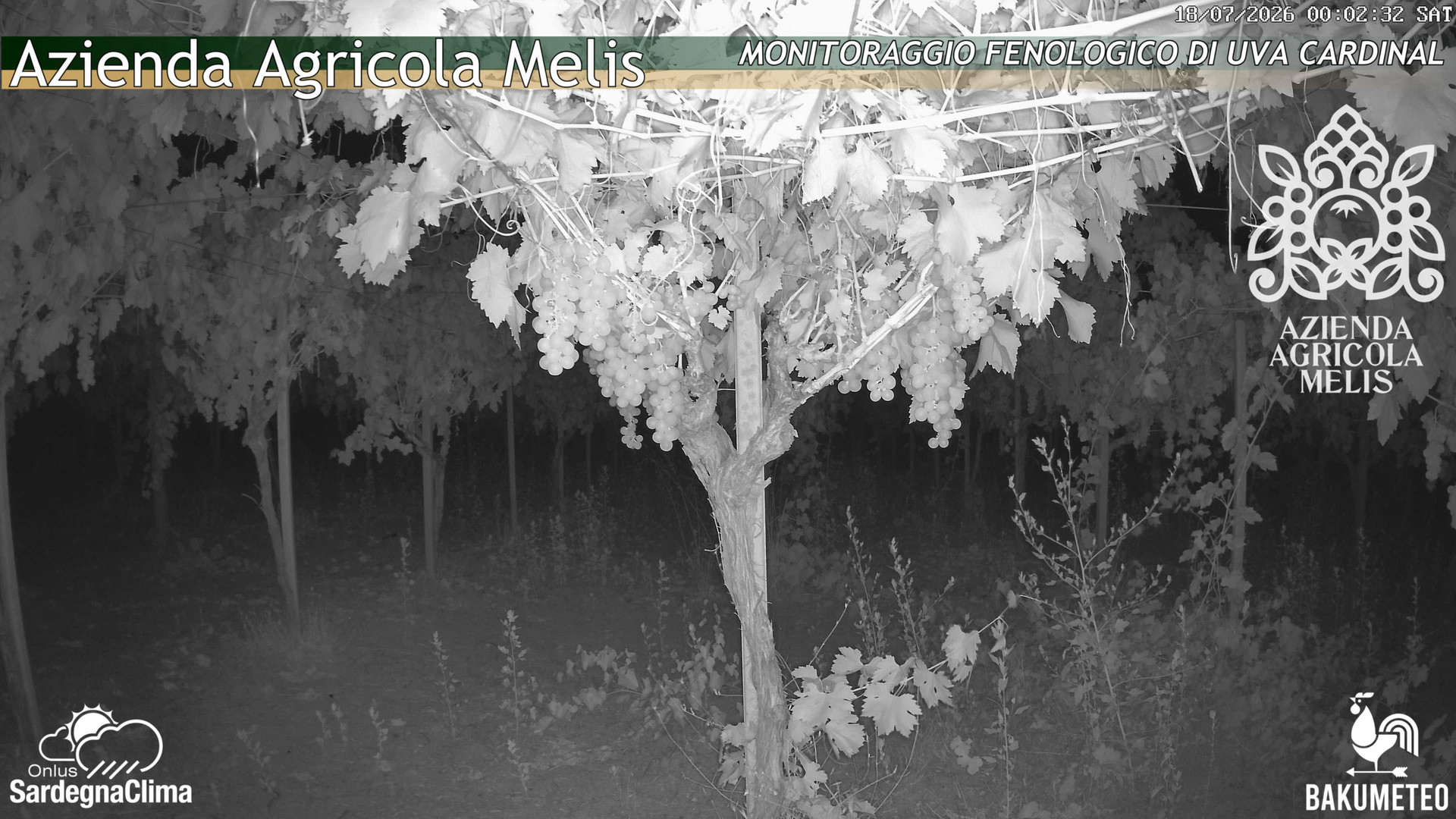 time-lapse frame, Bari Sardo - Fenologica webcam