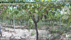 view from Bari Sardo - Fenologica on 2026-08-25