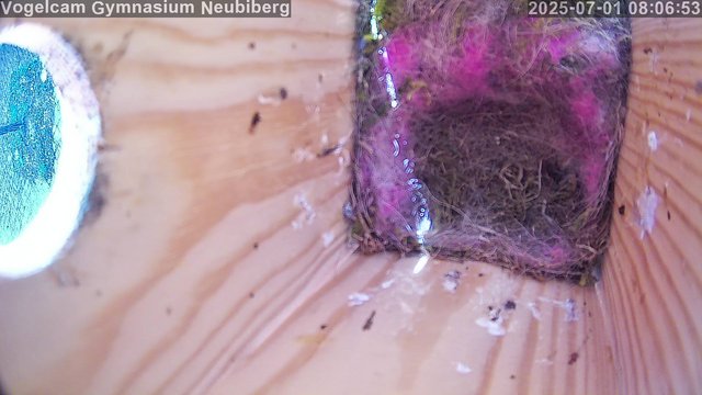 time-lapse frame, Vogelcam Gymnasium Neubiberg webcam