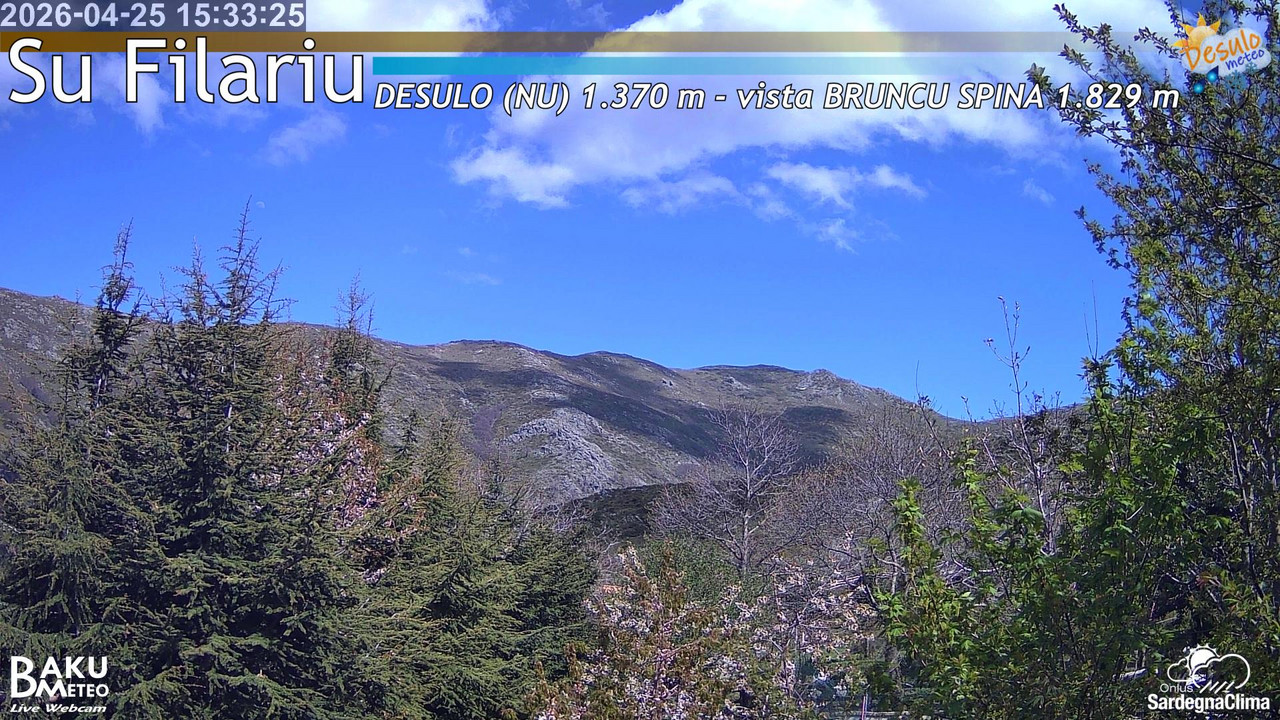 Su Filariu animated GIF