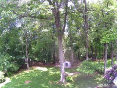view from Sparta WX on 2025-05-30