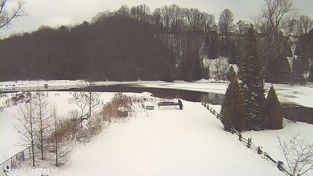 time-lapse frame, Yardcam 2022 webcam