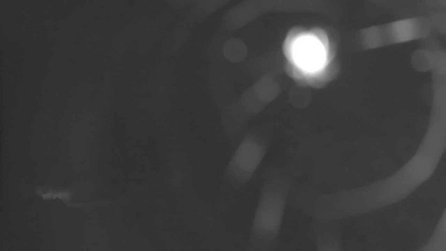time-lapse frame, YardCam webcam