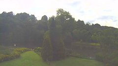 view from YardCam on 2026-08-25