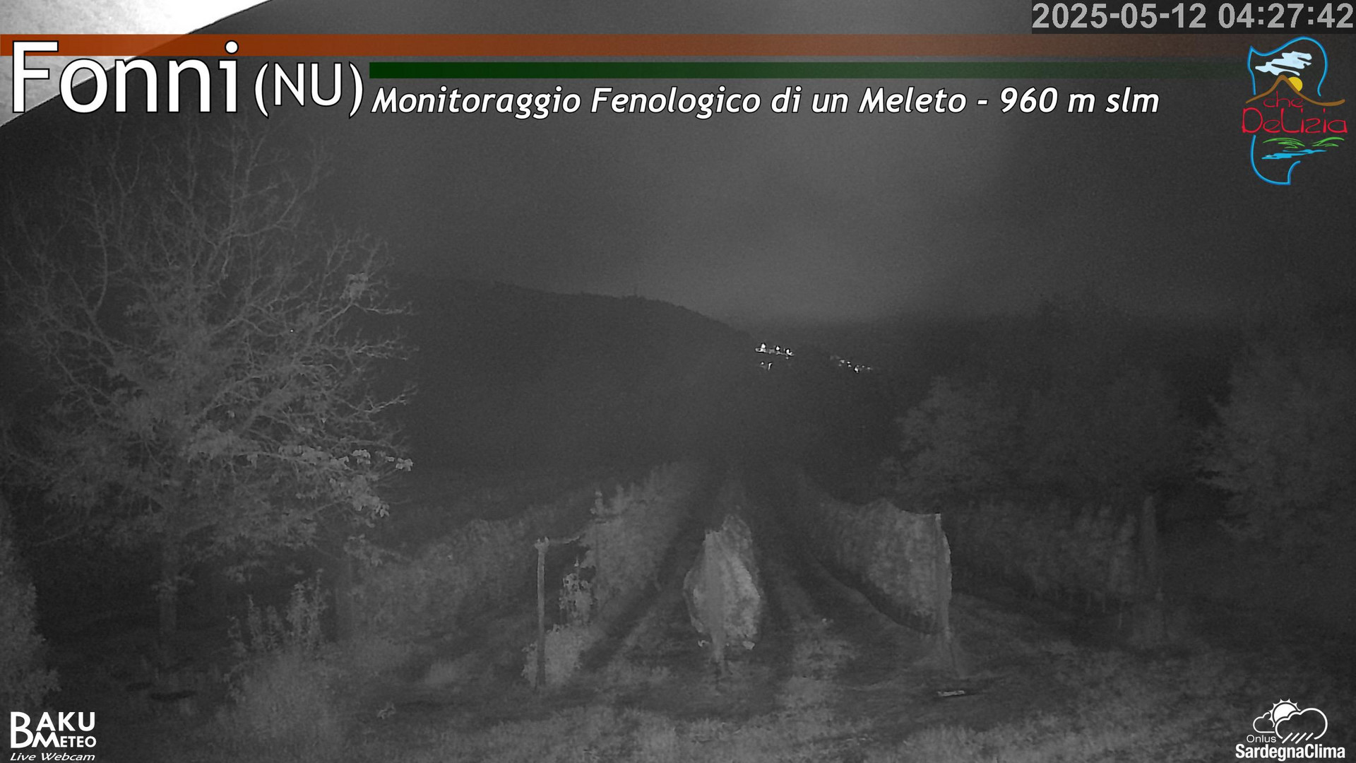 time-lapse frame, Fonni Meleto webcam
