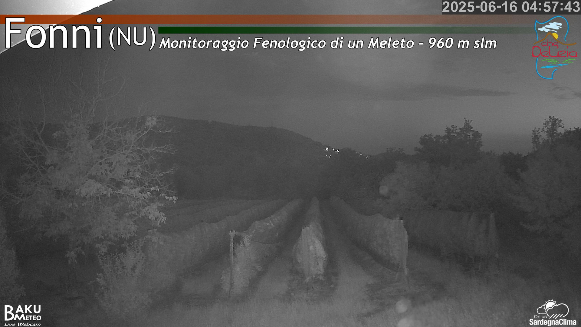 time-lapse frame, Fonni Meleto webcam