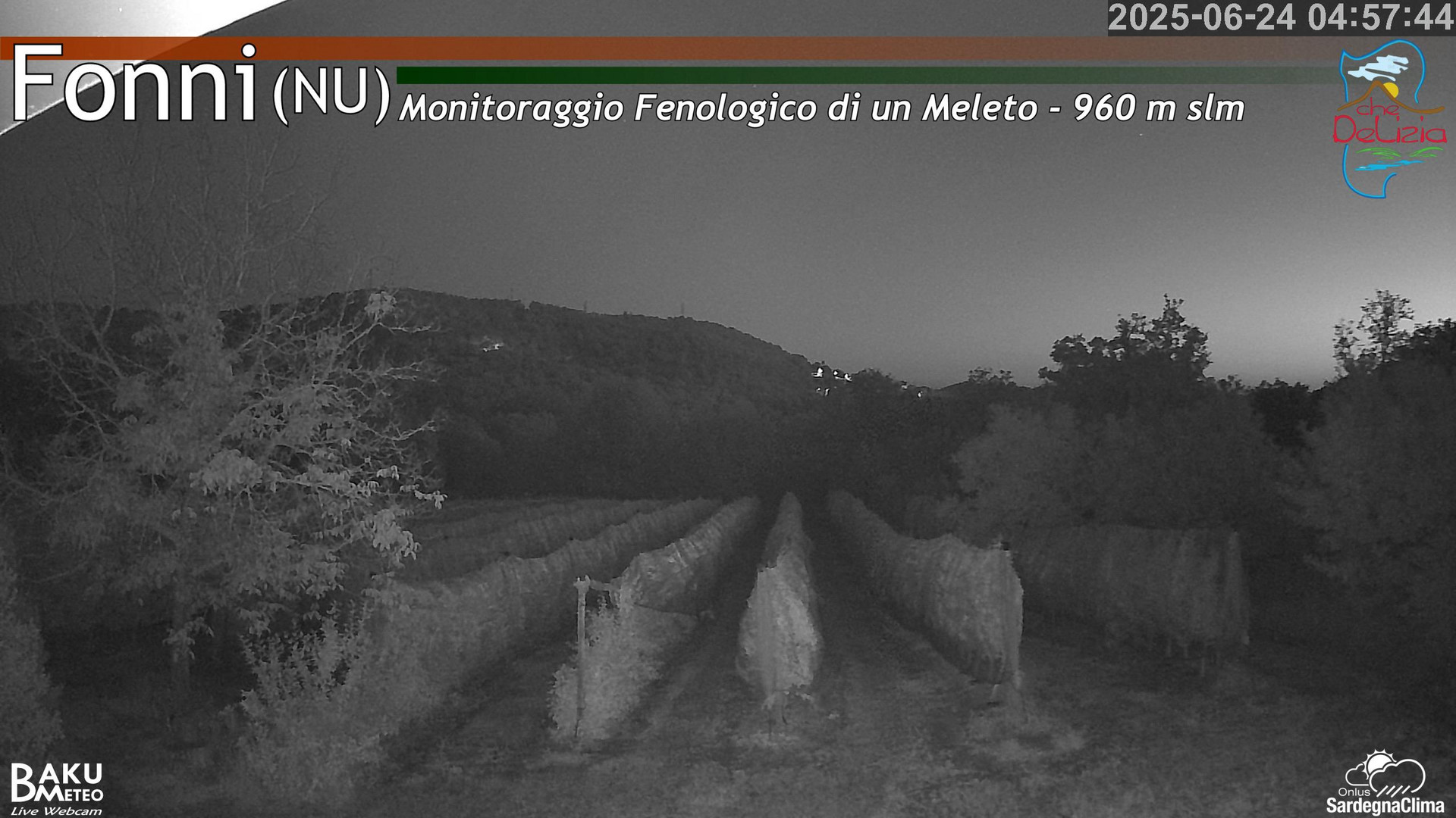 time-lapse frame, Fonni Meleto webcam