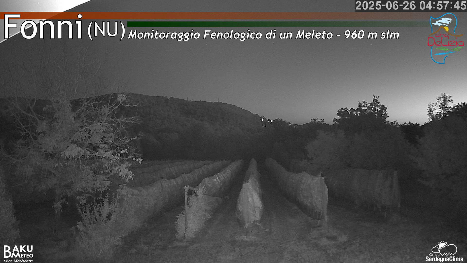 time-lapse frame, Fonni Meleto webcam