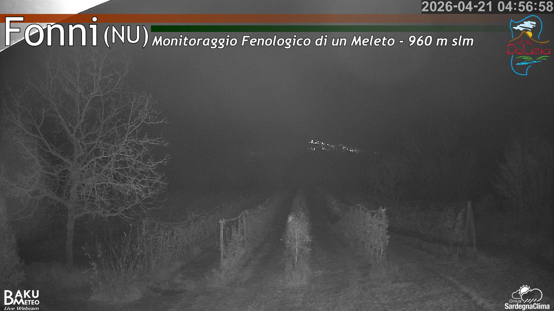time-lapse frame, Fonni Meleto webcam
