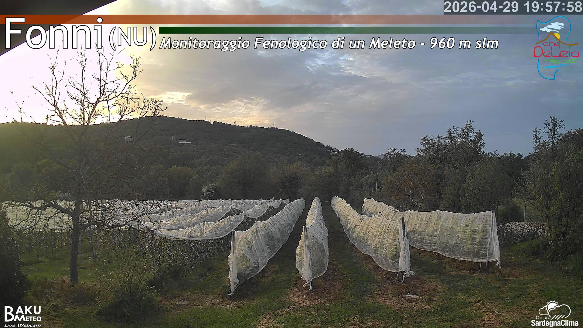 time-lapse frame, Fonni Meleto webcam