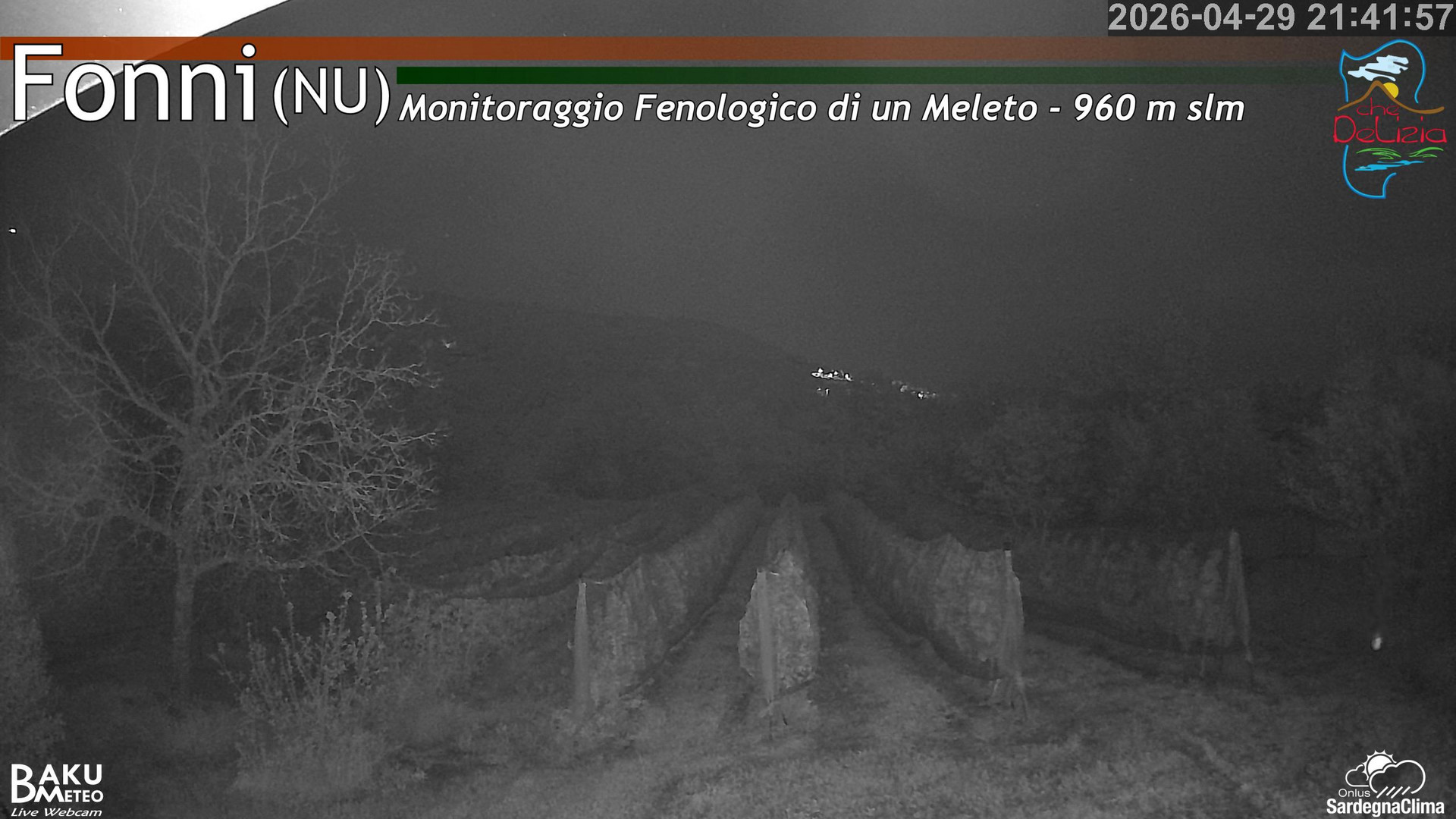 Fonni Meleto animated GIF