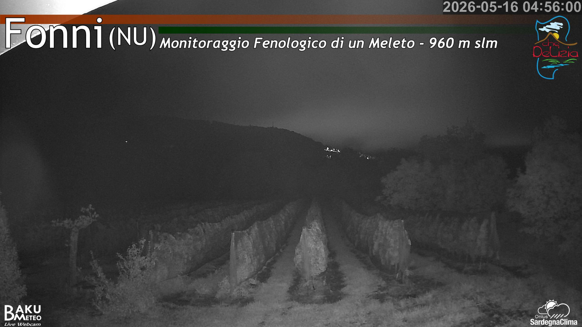 time-lapse frame, Fonni Meleto webcam