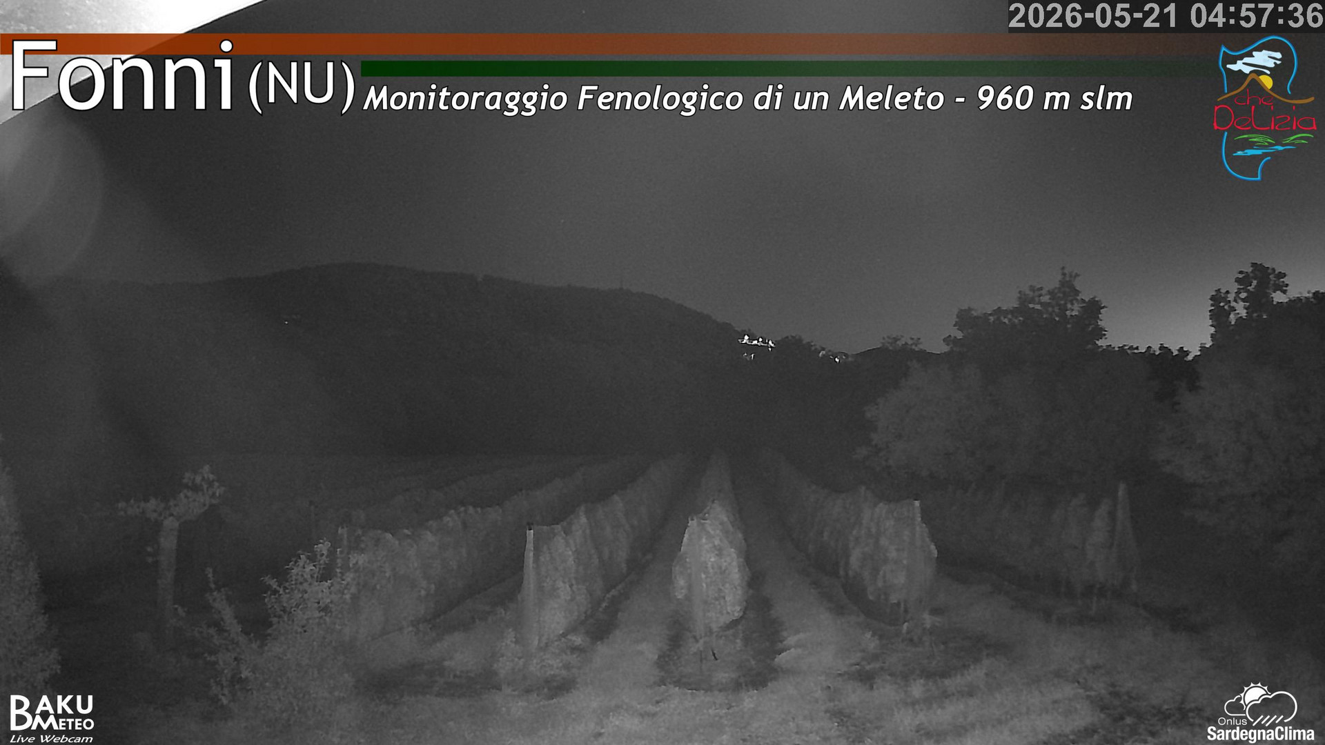 time-lapse frame, Fonni Meleto webcam