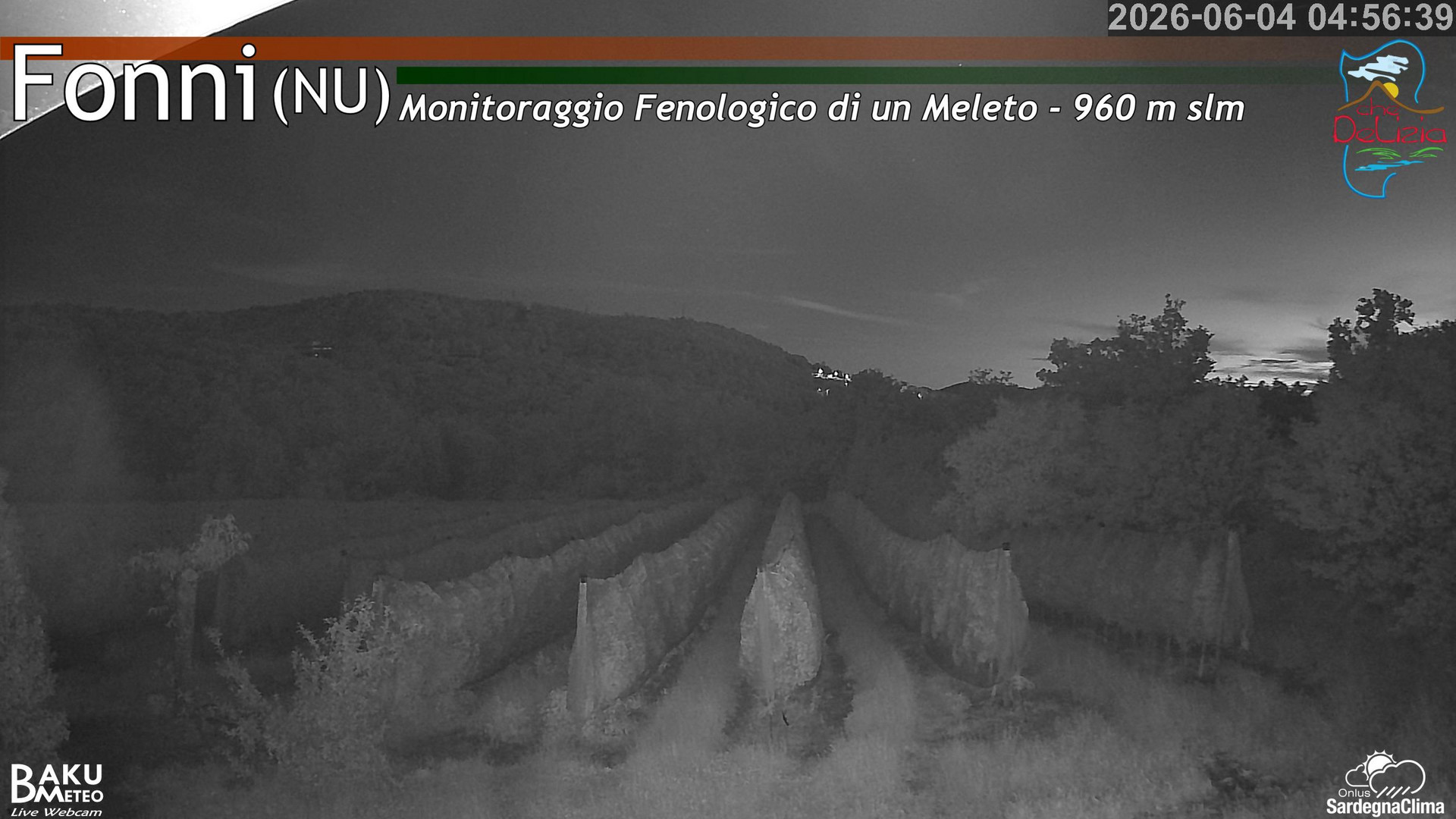 time-lapse frame, Fonni Meleto webcam