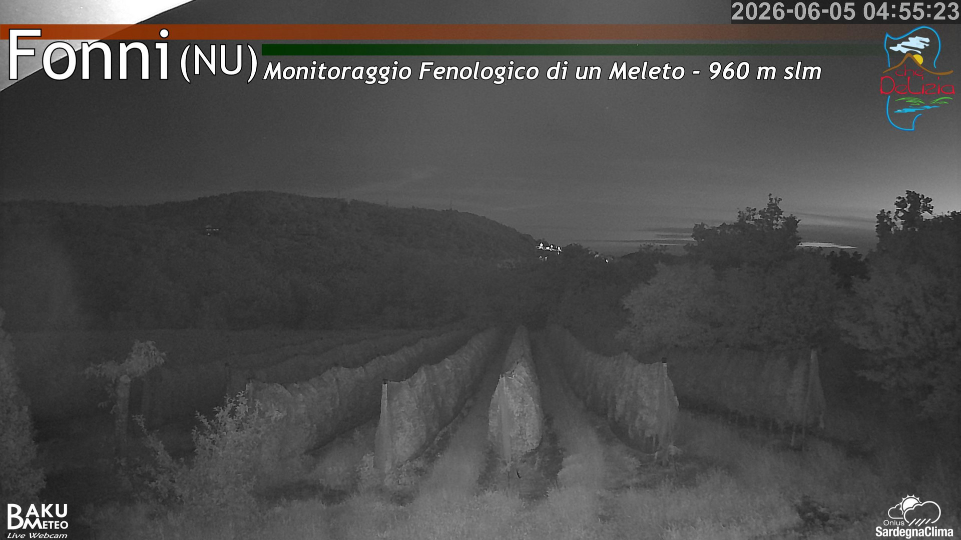 time-lapse frame, Fonni Meleto webcam