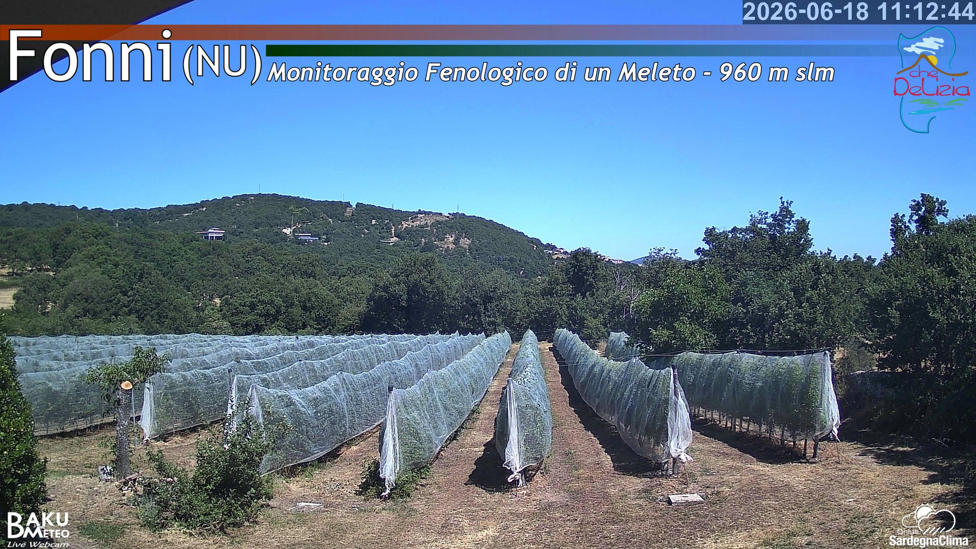 time-lapse frame, Fonni Meleto webcam