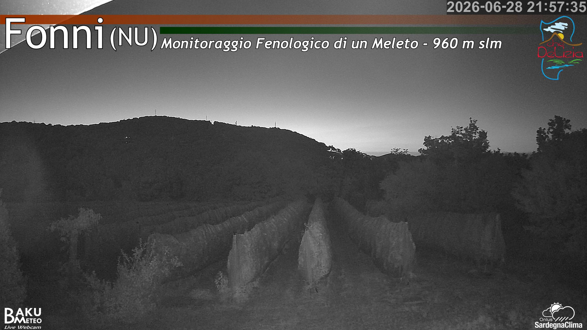 Fonni Meleto animated GIF