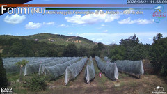 view from Fonni Meleto on 2026-08-21
