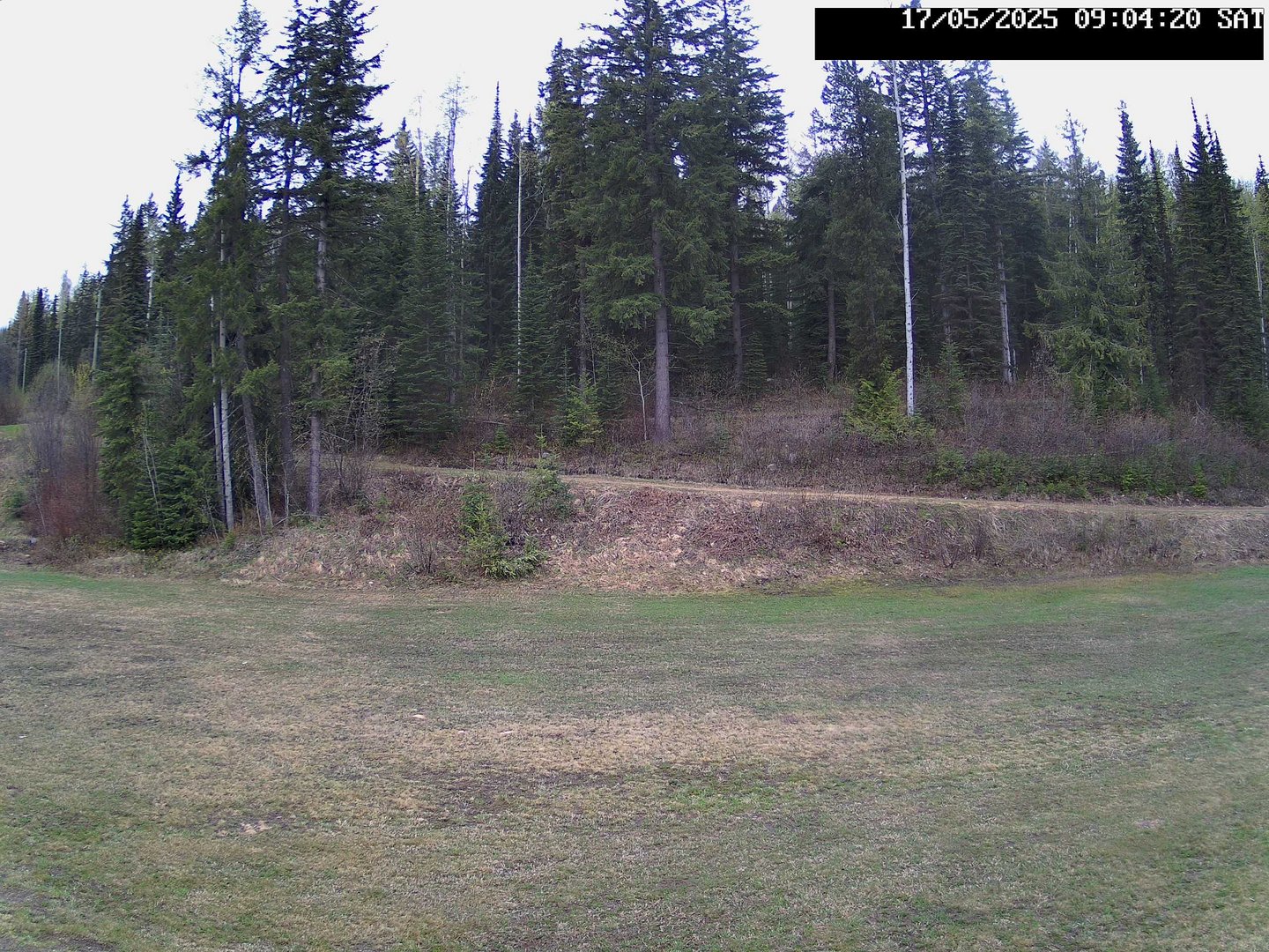 time-lapse frame, Stadium.Cam webcam