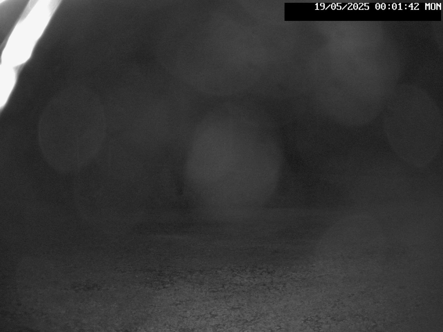 time-lapse frame, Stadium.Cam webcam