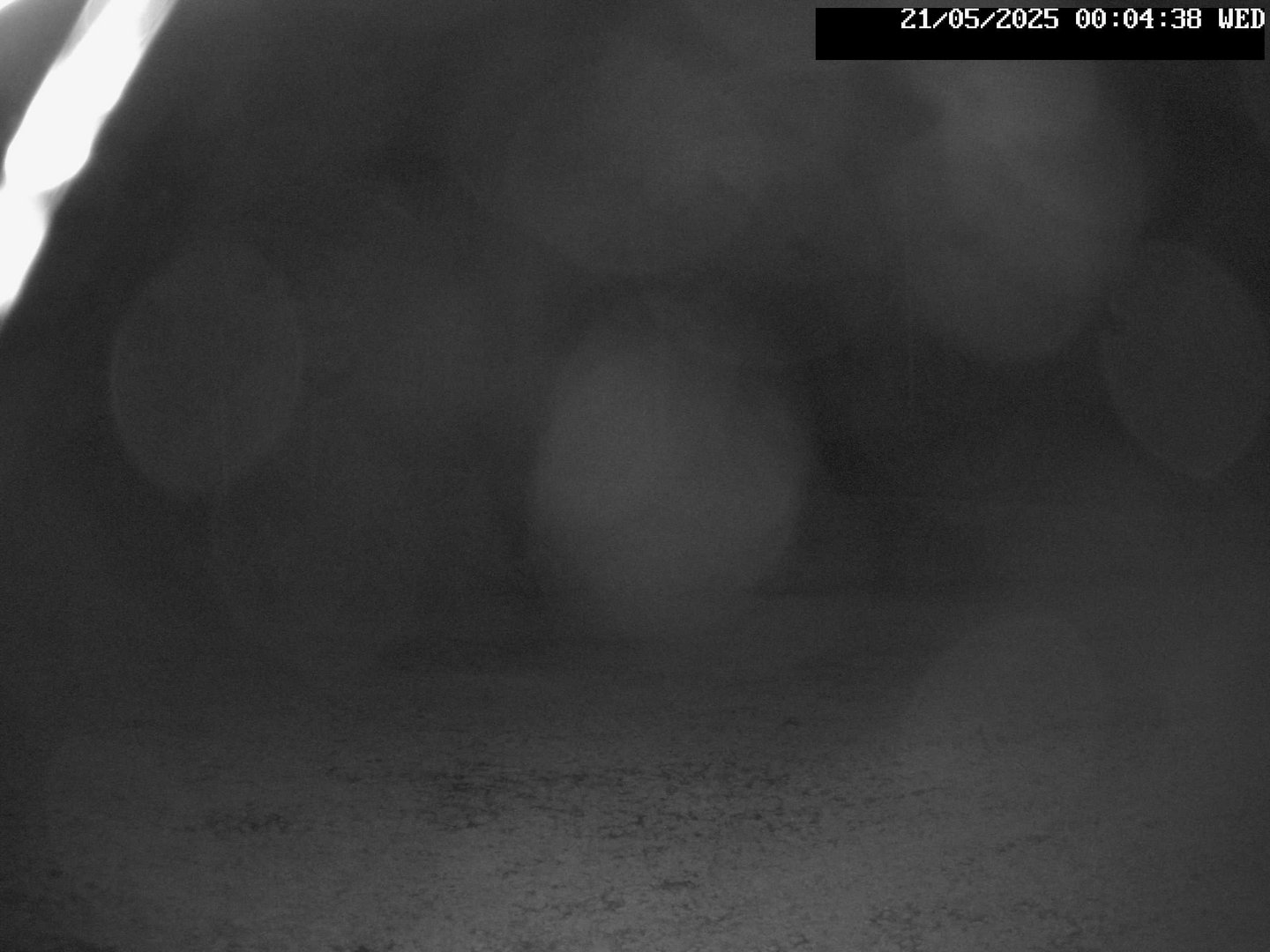 time-lapse frame, Stadium.Cam webcam