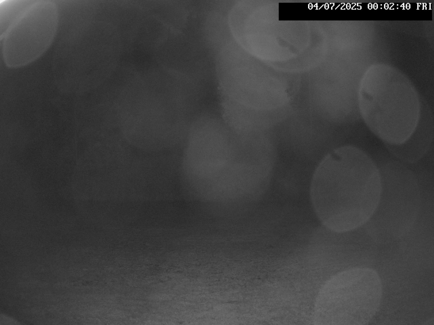 time-lapse frame, Stadium.Cam webcam
