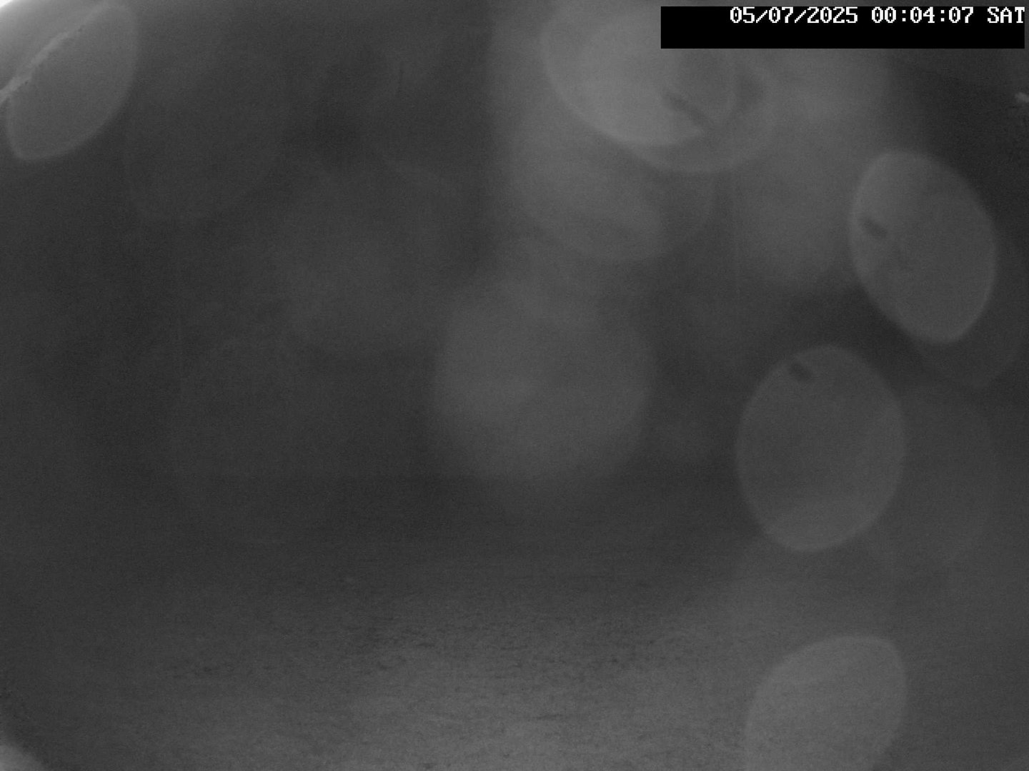 time-lapse frame, Stadium.Cam webcam
