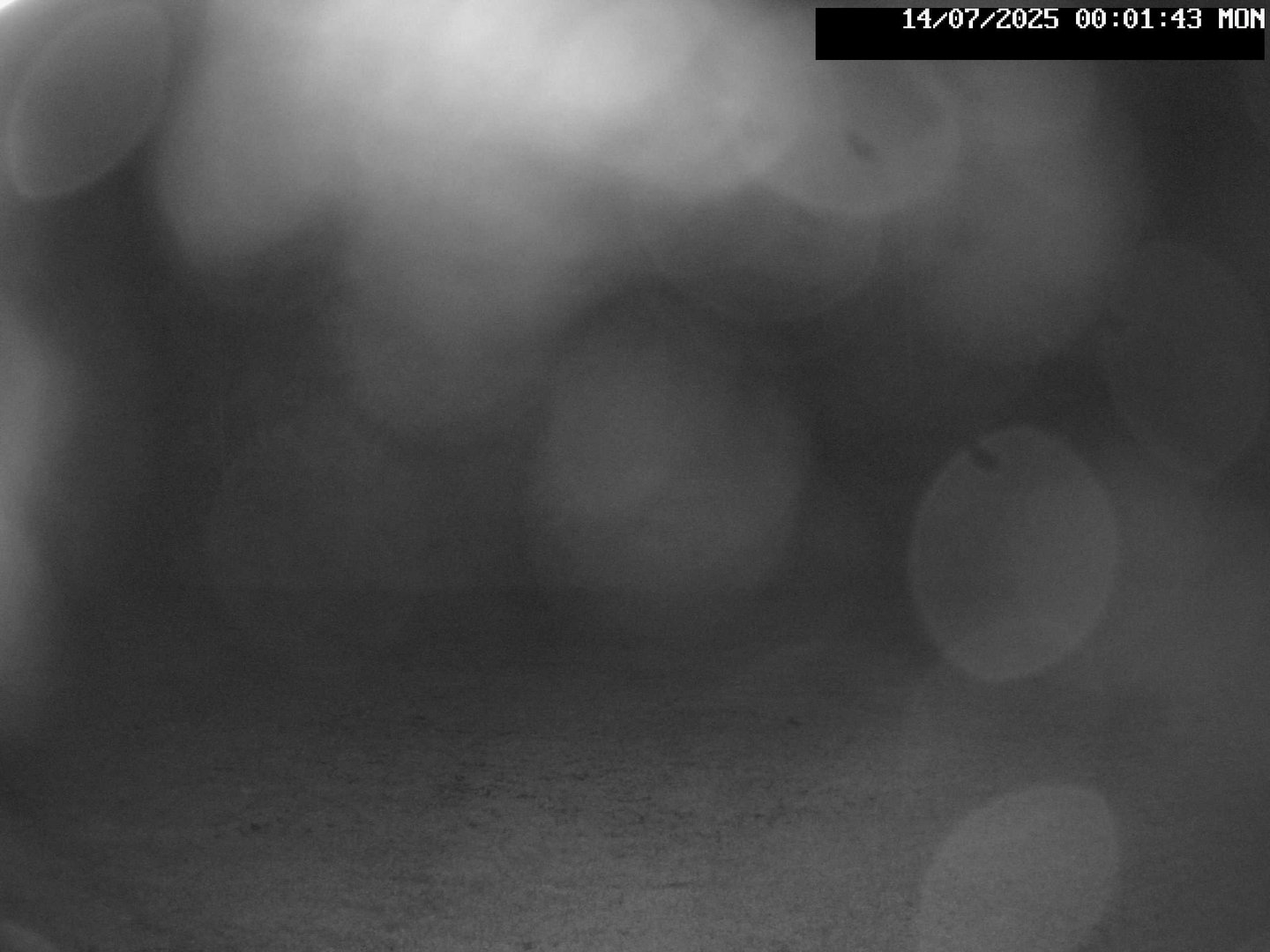 time-lapse frame, Stadium.Cam webcam