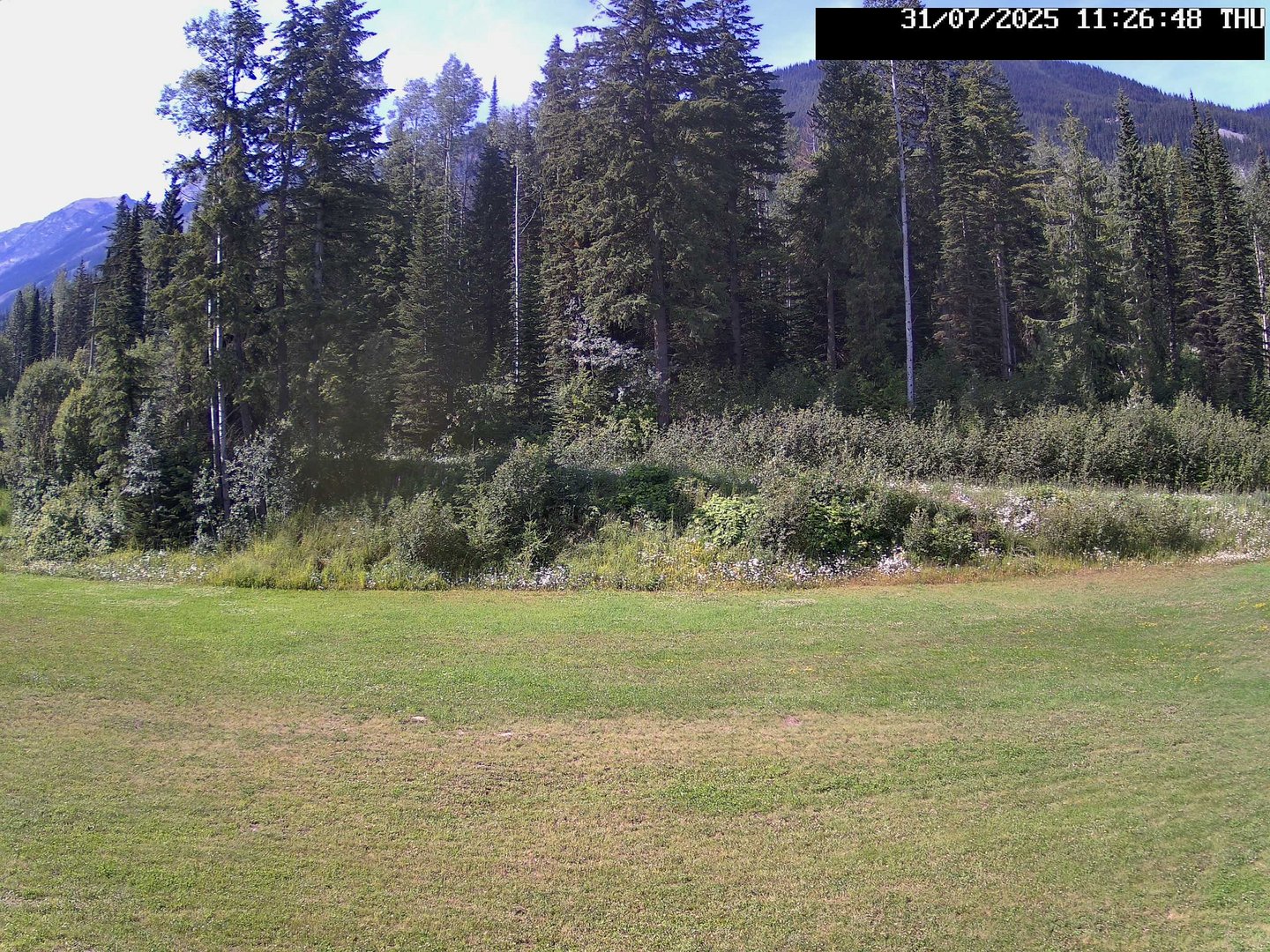 time-lapse frame, Stadium.Cam webcam