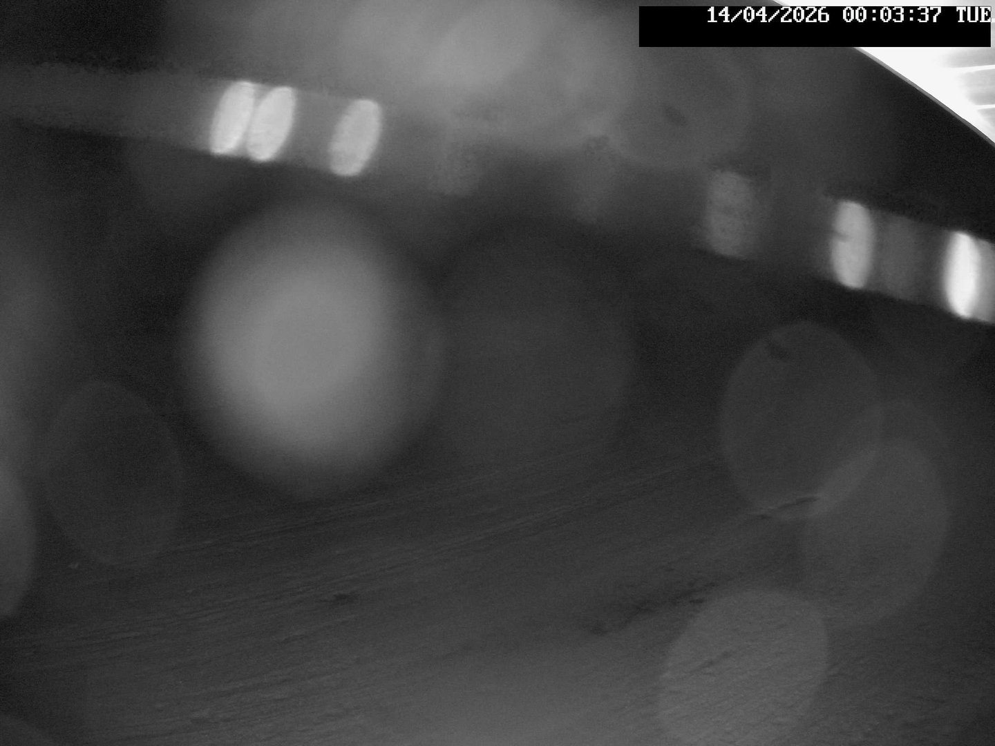 time-lapse frame, Stadium.Cam webcam