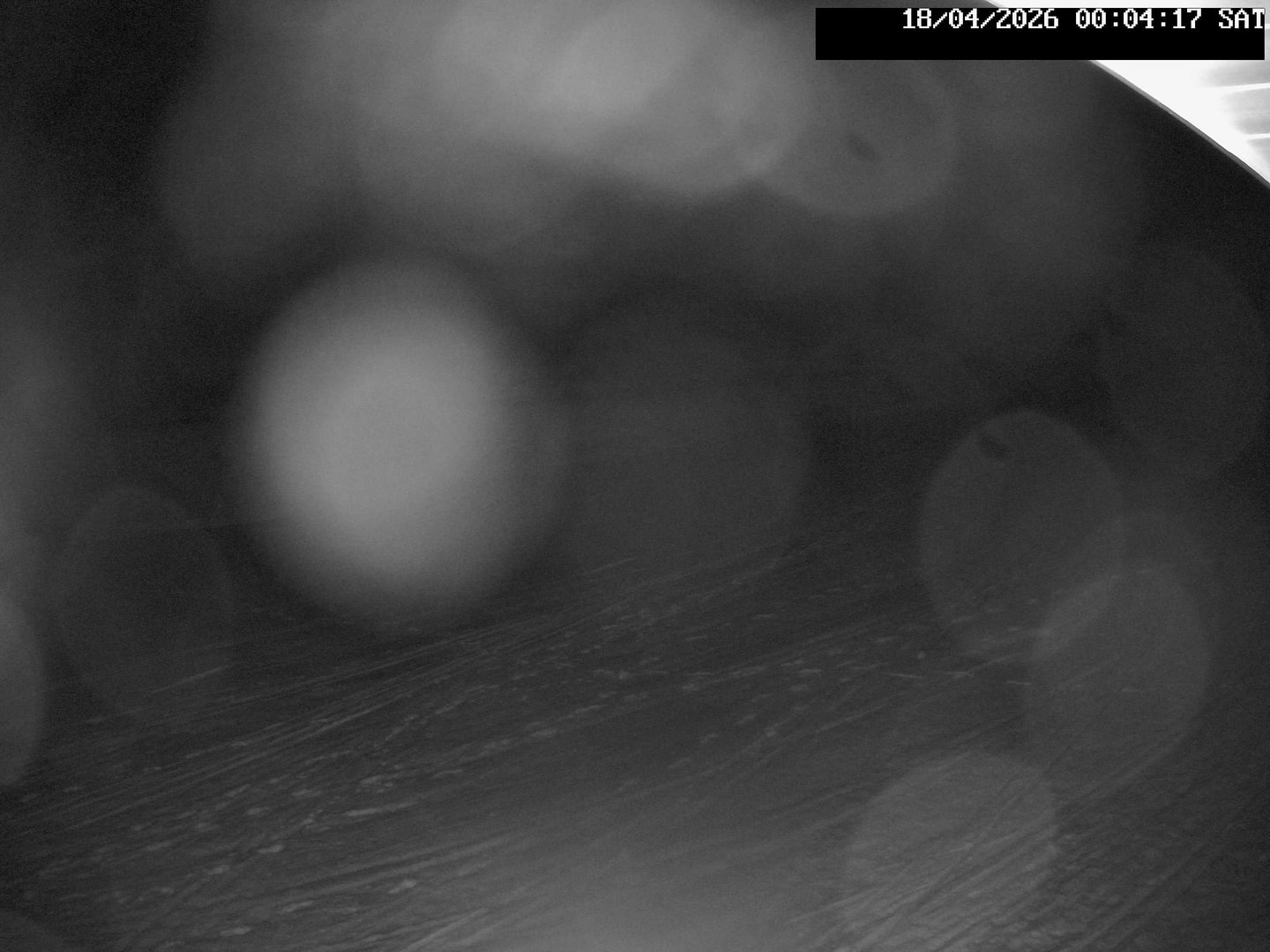 time-lapse frame, Stadium.Cam webcam