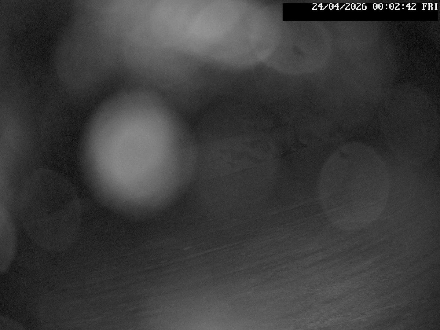 time-lapse frame, Stadium.Cam webcam