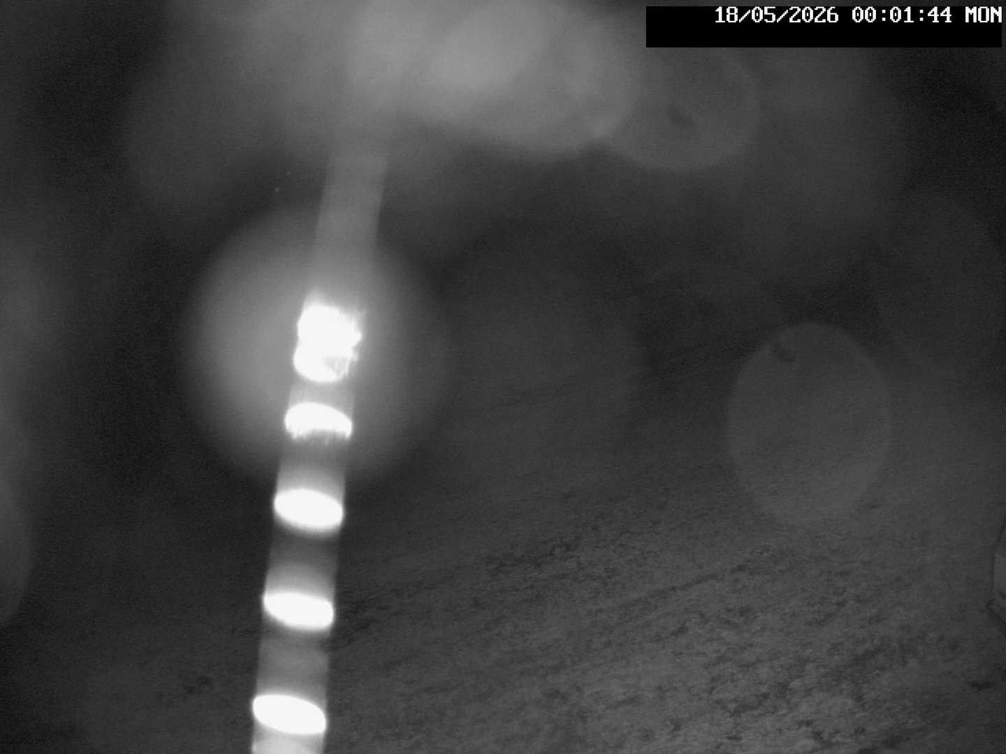 time-lapse frame, Stadium.Cam webcam